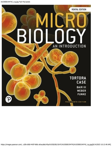 https://images.isbndb.com/covers/5329333482237.jpg