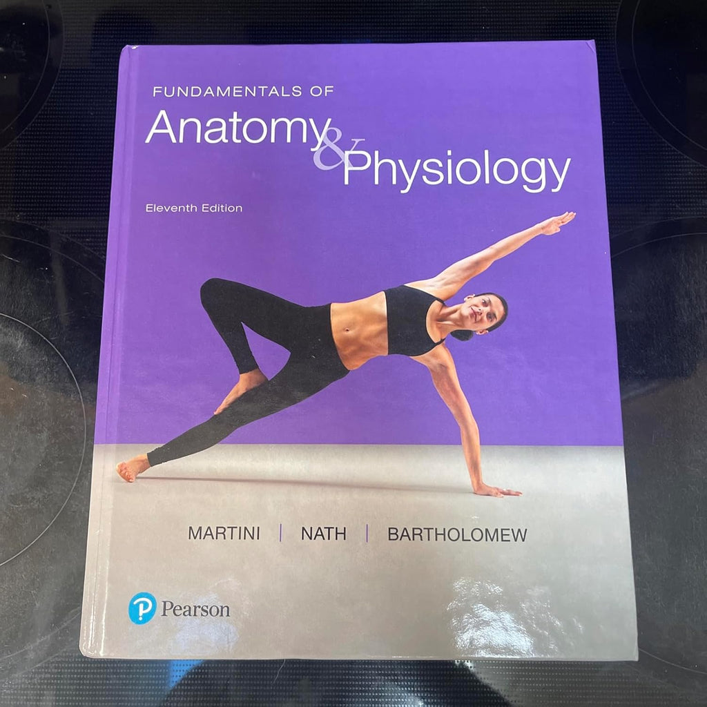 https://m.media-amazon.com/images/I/71AnLsibXPL._SL1500_.jpg