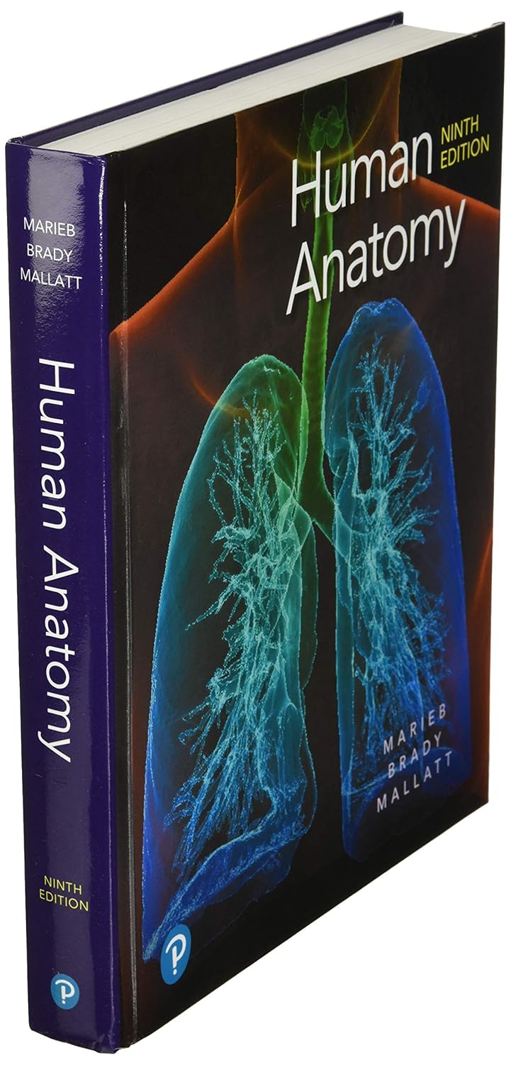 https://m.media-amazon.com/images/I/81JpBg-PsML._SL1500_.jpg