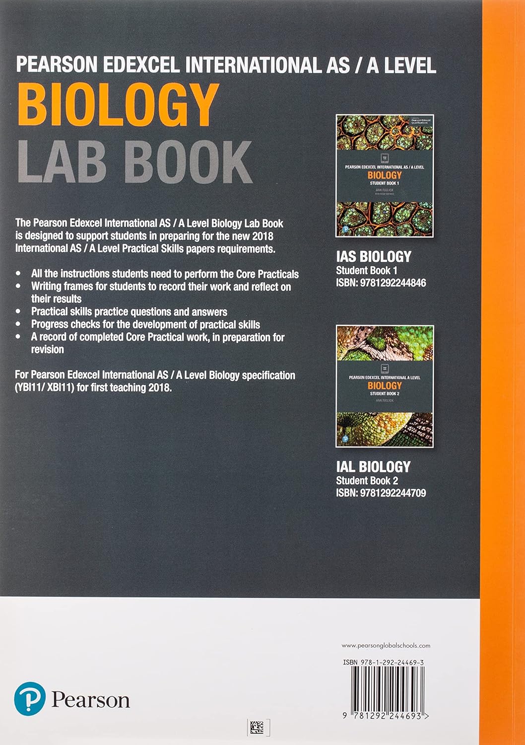 https://m.media-amazon.com/images/I/91mIQ9fAiCL._SL1500_.jpg