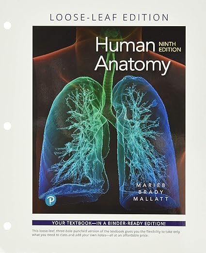 https://m.media-amazon.com/images/I/91piNQM+BdL._SY522_.jpg